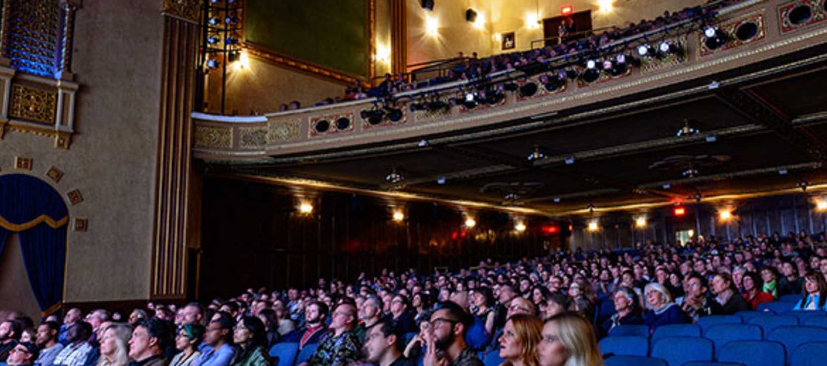 Festival gallery image 1