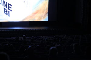 Festival gallery image 4